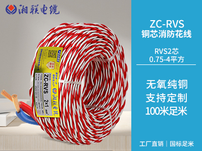 如果需要對家庭電路進行維修，有哪些步驟和注意事項？